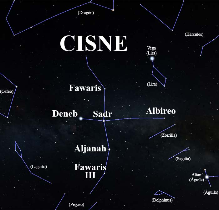 constelación Cisne