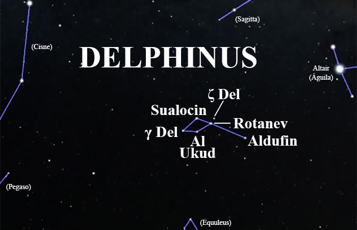 constelación Delphinus