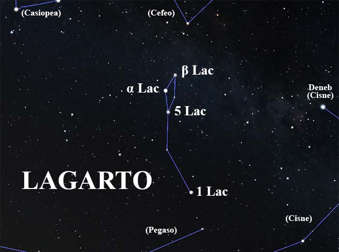 constelación Lagarto