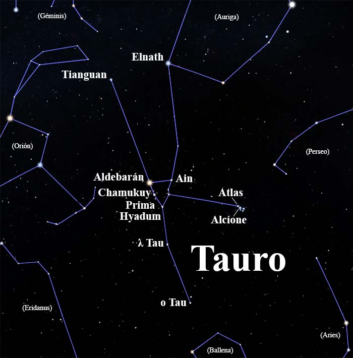 constelación Tauro